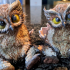 Owlbear Baby Hatched / Owl Bear Hybrid / Wild Animal Beast / Forest Encounter print image