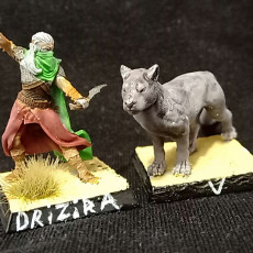 Picture of print of Drow Ranger - Drizira - with panther companion - 28/32mm and 75mm