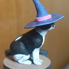 Picture of print of Cat with a Witch Hat