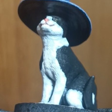 Picture of print of Cat with a Witch Hat