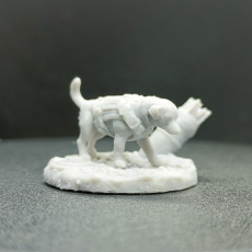 Picture of print of Patron Dog