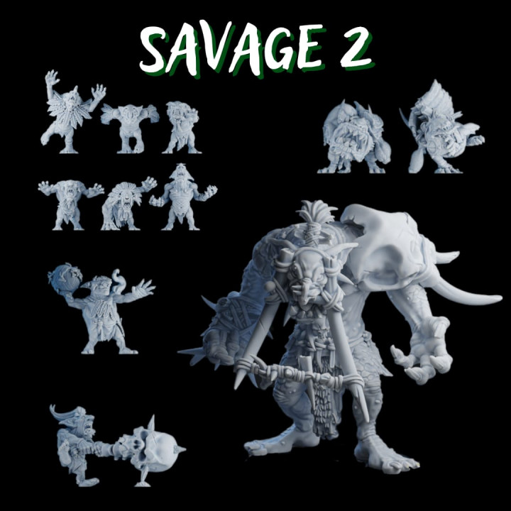 Bloodpit Savage 2's Cover