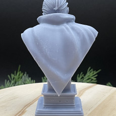 Picture of print of Dracula bust