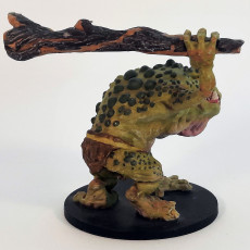 Picture of print of FrOgre