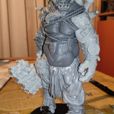Picture of print of Titan King (pre supported)