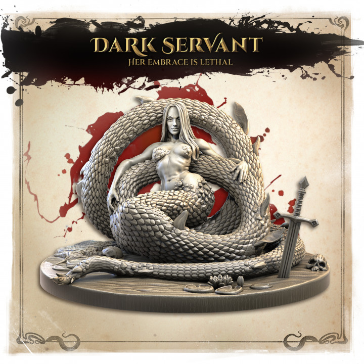 Dark Servant's Cover
