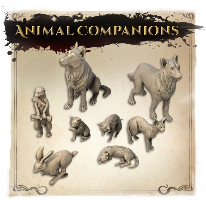 Animal Companions's Cover