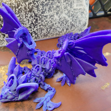 Picture of print of Nightwing Dragon
