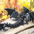 Nightwing Dragon image