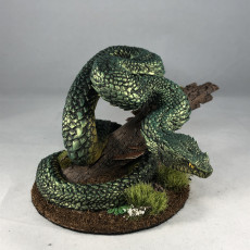 Picture of print of Viper