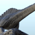 Spinosauridae dinosaure (17) - High detailed Prehistoric animal HD Paleoart image