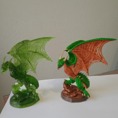 Picture of print of Wyvern Pack