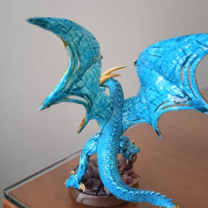 Picture of print of Wyvern Pack