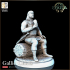 Gaul Chieftains - The Touta image