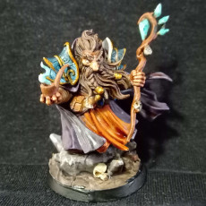 Picture of print of Volrunax Runebeard - The Guildmaster (Arcanist's Guild)
