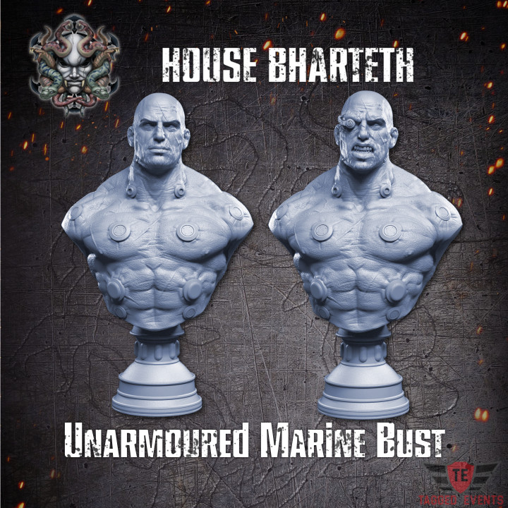 House Bharteth - Unarmoured Marine Bust's Cover