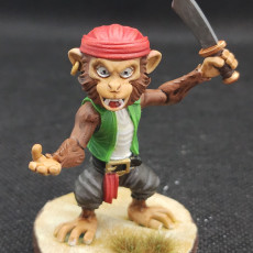 Picture of print of Monkey Pirate 3