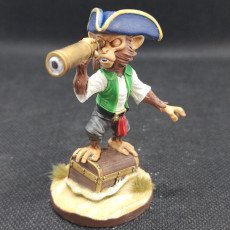 Picture of print of Monkey Pirate 5