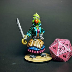 Picture of print of Female Parrot Pirate 1