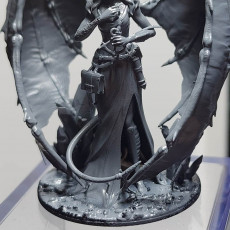 Picture of print of Areelu Vorlesh (Pathfinder: Wrath of the Righteous) | 215mm