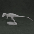 Allosaurus Fragilis 1-35 scale pre-supported dinosaur image