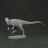 Allosaurus Fragilis 1-35 scale pre-supported dinosaur image