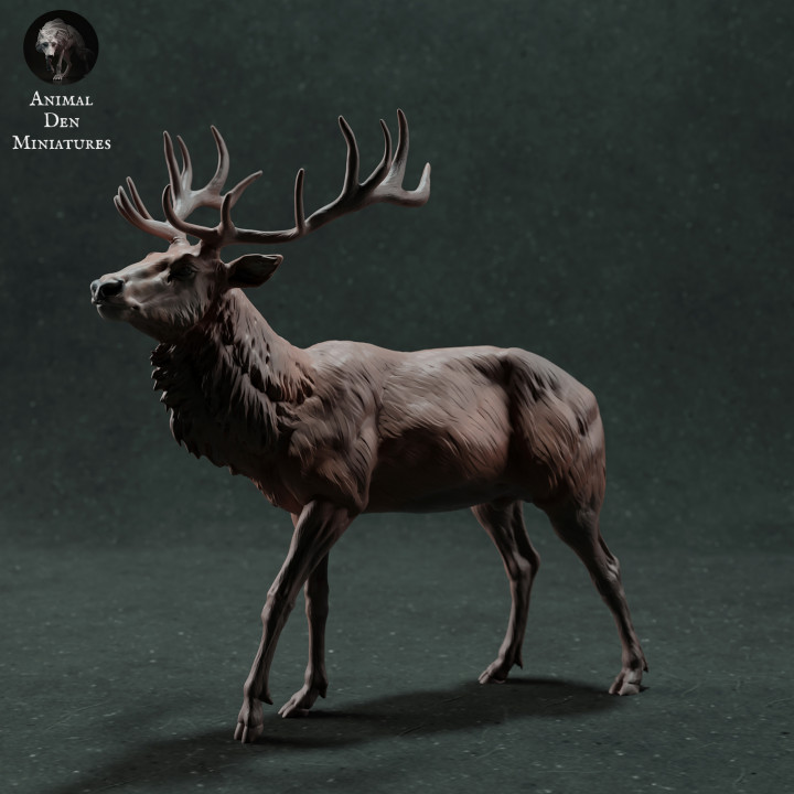 3D Printable Red Deer Stag by Animal Den Miniatures