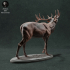 Red Deer Stag Call image