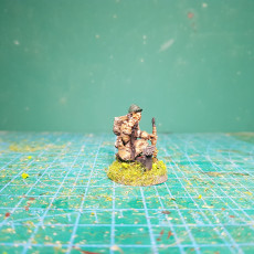 Picture of print of French head quarter 2 - 28mm