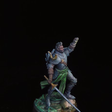 Picture of print of Raynald "Dawnbringer" - Paladin