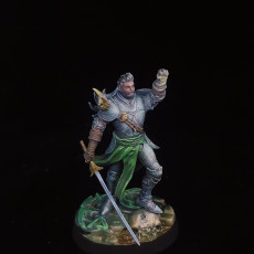 Picture of print of Raynald "Dawnbringer" - Paladin