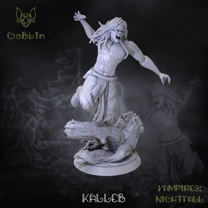 Kalleb - Vampires: Nightfall (Gangrel)'s Cover