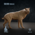 Smilodon populator : The Saber-toothed Cat image