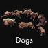 Dog pack image