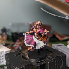 Picture of print of Lesa - master wizard - 32mm - DnD