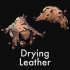 Drying skin, leather image