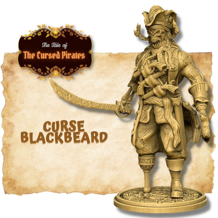 Cursed Blackbeard Pirate Captain's Cover