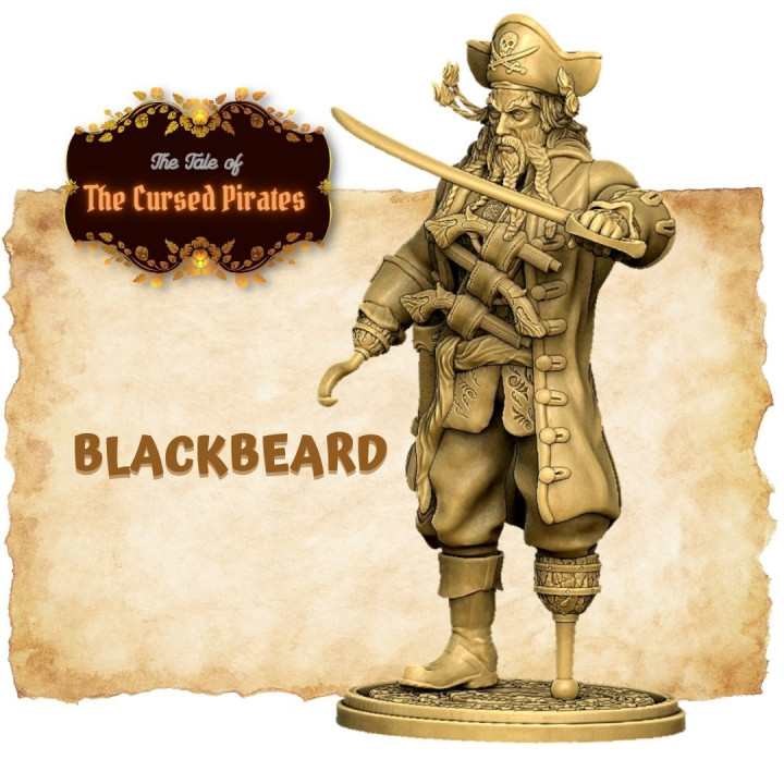 Blackbeard Pirate Captain V2's Cover