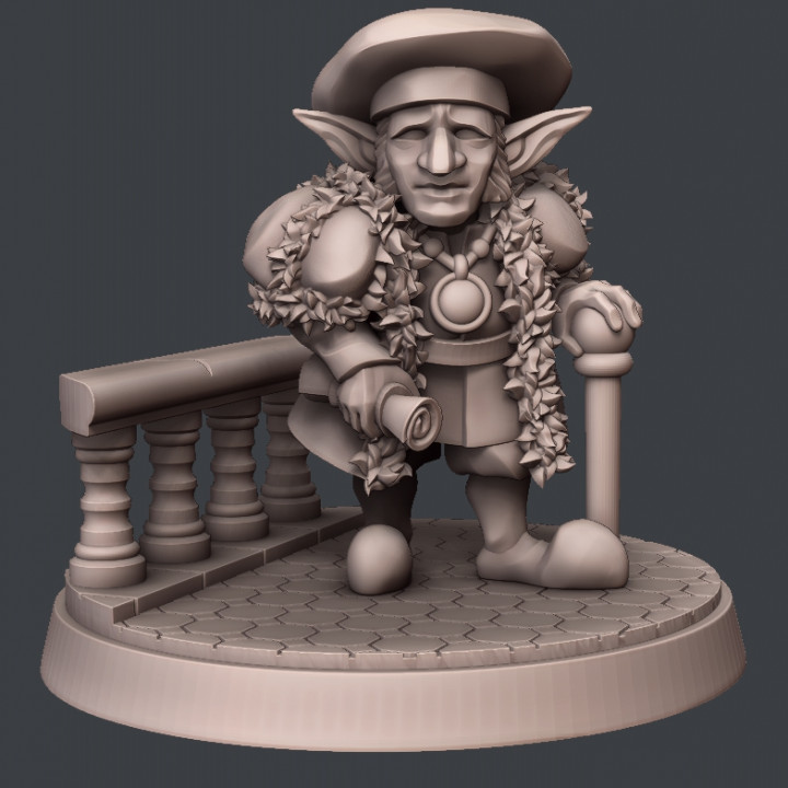 Gnome Mayor's Cover