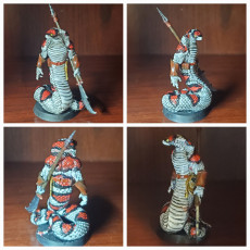 Picture of print of Yuan-Ti Halberd - Tabletop Miniature (Pre-Supported)
