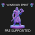 Spirit Warrior - Pre Supported image