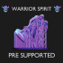 Spirit Warrior - Pre Supported image