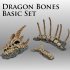 Dragon Bones Basic image