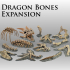 Dragon Bones Expansion image