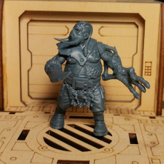 Picture of print of Oathbreakers Command: Depraved Thug