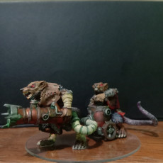 Picture of print of Vermin Tribe Flametail Team