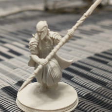 Picture of print of 6x Armoured Wood Elf with Spear | Wood Elves | Fantasy