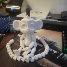Picture of print of ARTICULATED MONKEY