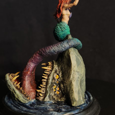 Picture of print of Mermaid Mimic (2 sizes included)