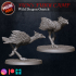 Sun's Fury Camp - Dragon Ostrich Wild Pack image